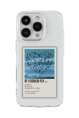 IF I COULD FLY POLAROID