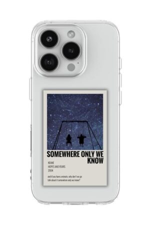 193 SOMEWHERE ONLY WE KNOW POLAROID