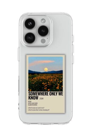 79 SOMEWHERE ONLY WE KNOW POLAROID